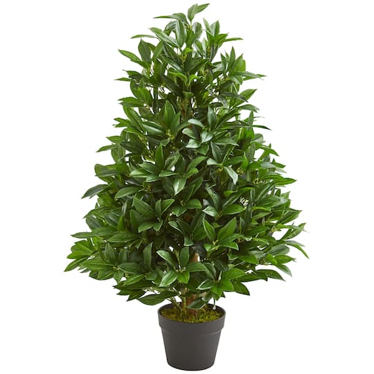 Michaels, 3ft. Potted Bay Leaf Cone Topiary Tree – Category: Trees & Floor Plants